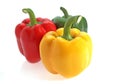 Sweet Red, Green and Yellow Pepper, capsicum annuum against White Background Royalty Free Stock Photo