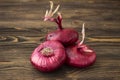 Sweet red onion Royalty Free Stock Photo