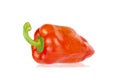 Sweet red pepper close-up on a white background