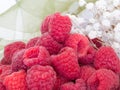 Sweet red raspberries