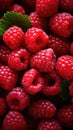 Sweet red ripe raspberries vegetarian concept vertical background mobile wallpaper top view close up flat lay copy space Royalty Free Stock Photo