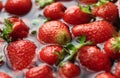 Sweet red strawberries ready to be eaten stock photo Royalty Free Stock Photo