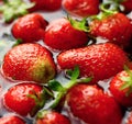 Sweet red strawberries ready to be eaten stock photo Royalty Free Stock Photo