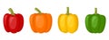 Sweet red, yellow, orange peppers, bell pepper, vector illustration