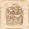 Sweet retro cake with fruit and berries. Treat for the birthday. Vector hand drawn illustration.