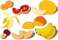 Sweet ripe aromatic fruits collection vector illustration