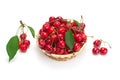 Sweet ripe cherries in a basket Royalty Free Stock Photo