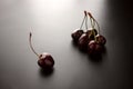 Sweet ripe cherries. Fresh cherry on black background. Farming abundance