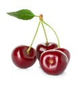 Sweet ripe cherry, berries isolated on white Royalty Free Stock Photo