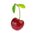 Sweet ripe cherry with leaf isolated on white background Royalty Free Stock Photo