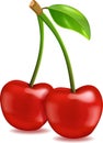 Sweet ripe fresh cherry. Vector realistic illustration isolated