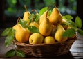 Sweet ripe pears with leaf in basket on summer garden background.Macro.AI Generative Royalty Free Stock Photo