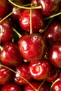 Sweet ripe red cherries close up with water drops Royalty Free Stock Photo