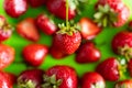 Red ripe berry of strawberry on green Matt background Royalty Free Stock Photo