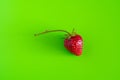 Red ripe berry of strawberry on green Matt background Royalty Free Stock Photo