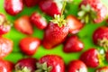 Red ripe berry of strawberry on green Matt background Royalty Free Stock Photo