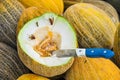 Sweet ripe yellow melon cut in half Royalty Free Stock Photo