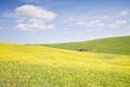 Rolling hills in Tuscany Val D\'Orcia region iconic countryside