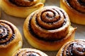 Sweet rolls with cinnamon and cocoa filling. Cinnabon roll bread, homemade bakery. Kanelbulle swedish dessert. Royalty Free Stock Photo