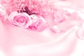 sweet rose flowers for love romance or wedding background Royalty Free Stock Photo