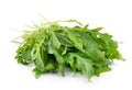 Sweet rucola salad or rocket lettuce leaves Royalty Free Stock Photo