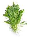 Sweet rucola salad or rocket lettuce leaves Royalty Free Stock Photo