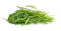 Sweet rucola salad or rocket lettuce leaves Royalty Free Stock Photo