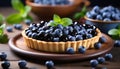 Sweet and scrumptious blueberry tartlet with fresh, juicy blueberries on a pristine white plate