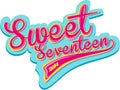 Sweet seventeen retro design Royalty Free Stock Photo
