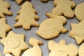 Sweet shortbread fingers on white background.