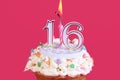 Sweet sixteen Royalty Free Stock Photo