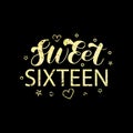 Sweet Sixteen brush lettering. 16x birthday girl. Phrase for shirt. Vector stock illustration Royalty Free Stock Photo