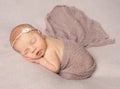 Sweet sleeping newborn girl covered with shawl Royalty Free Stock Photo