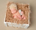 Sweet sleeping newborn with little toy in wooden box Royalty Free Stock Photo