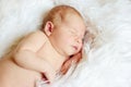 Sweet sleeping newborn Royalty Free Stock Photo