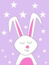 Sweet sleeping rabbit night background