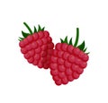 Sweet Small Raspberry with Fruit-stalk Poster