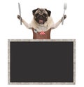 Sweet smiling pug puppy dog holding cutlery for eating meal and wearing leather apron, with blank blackboard sign