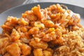 Sweet and sour chicken with egg fried rice on a plate. Royalty Free Stock Photo