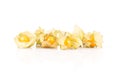 Sweet and sour physalis fruits in opened shell on background. Royalty Free Stock Photo