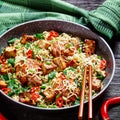 Sweet and sour tofu, chicken, and wok noodles