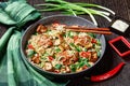 Sweet and sour tofu, chicken, and wok noodles Royalty Free Stock Photo