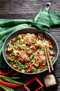 Sweet and sour tofu, chicken, and wok noodles Royalty Free Stock Photo