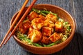 Asian noodle bowl with hoisin baked tofu cubes Royalty Free Stock Photo