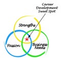 Career Development Sweet Spot