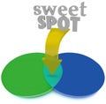Sweet Spot Overlapping Venn Diagram Area Perfect Ideal Royalty Free Stock Photo