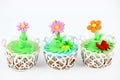 Sweet spring flowers muffin cakes Royalty Free Stock Photo