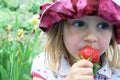 Sweet strawberry Royalty Free Stock Photo