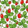 Sweet strawberry with leaves and flowers seamless pattern. Colorful cartoon vector illustration. Bright plants and red Royalty Free Stock Photo