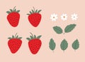 Sweet strawberry set. Ripe strawberries, leaves and flowers. Cartoon flat vector illustration Royalty Free Stock Photo